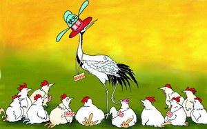 湖南耒阳一中学40万重奖高分高考生