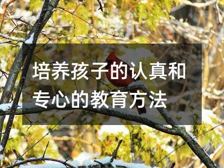 �������ӵ������ר�ĵĽ�������