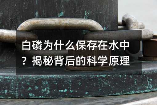 ����Ϊʲô������ˮ�У����ر���Ŀ�ѧԭ��