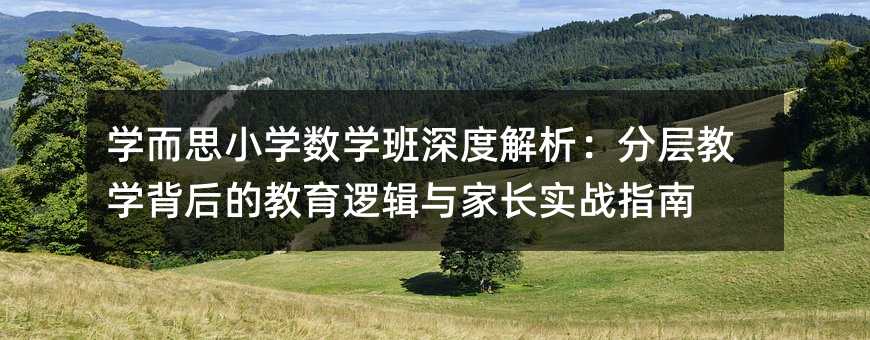 ѧ��˼Сѧ��ѧ����Ƚ������ֲ��ѧ����Ľ����߼���ҳ�ʵսָ��