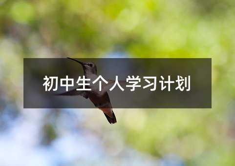 ����������ѧϰ�ƻ�