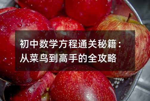 初中数学方程通关秘籍:从菜鸟到高手的全攻略