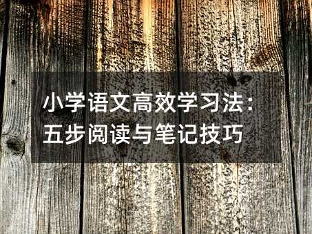 Сѧ���ĸ�Чѧϰ�����岽�Ķ���ʼǼ���