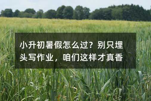 小升初暑假怎么过?别只埋头写作业,咱们这样才真香