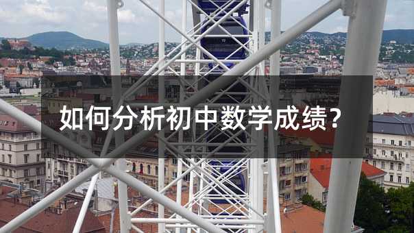 如何分析初中数学成绩?