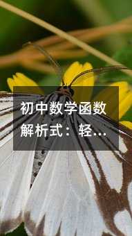 初中数学函数解析式:轻松破解代数难题的实用指南