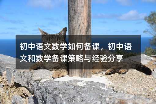 初中语文数学如何备课,初中语文和数学备课策略与经验分享