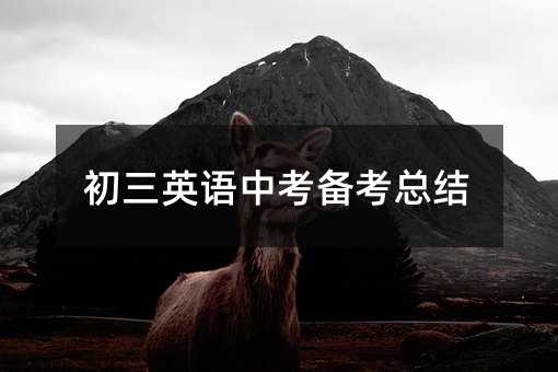 初三英语中考备考总结