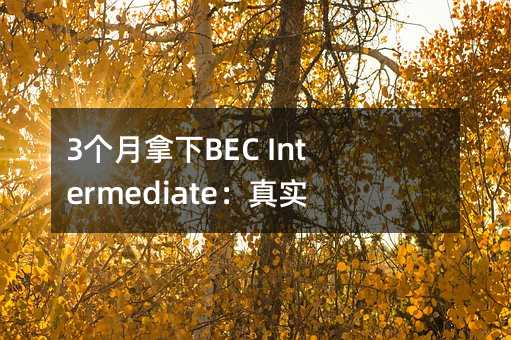 3个月拿下BEC Intermediate:真实可行的备考策略