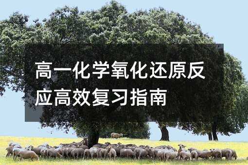 高一化学氧化还原反应高效复习指南