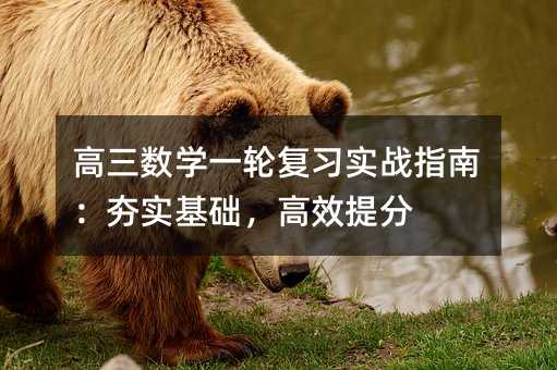 高三数学一轮复习实战指南:夯实基础,高效提分