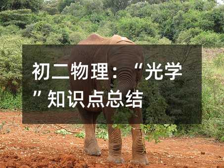 初二物理:“光学”知识点总结