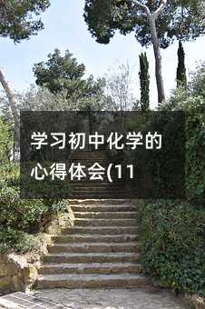 学习初中化学的心得体会(11)