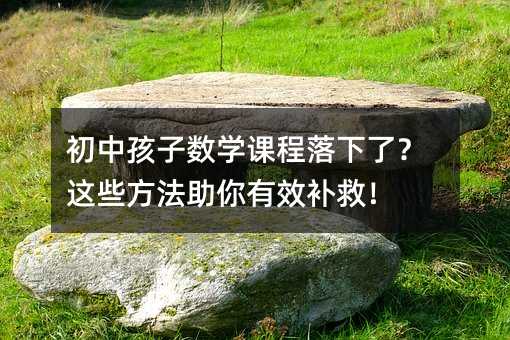 初中孩子数学课程落下了?这些方法助你有效补救!