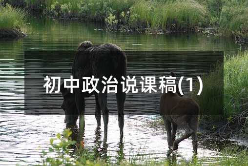 初中政治说课稿(1)