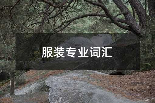 服装专业词汇