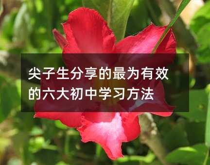 ��������������Ϊ��Ч���������ѧϰ����