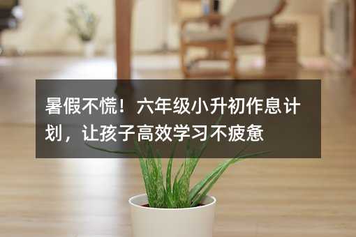 ��ٲ��ţ����꼶С������Ϣ�ƻ����ú��Ӹ�Чѧϰ��ƣ��