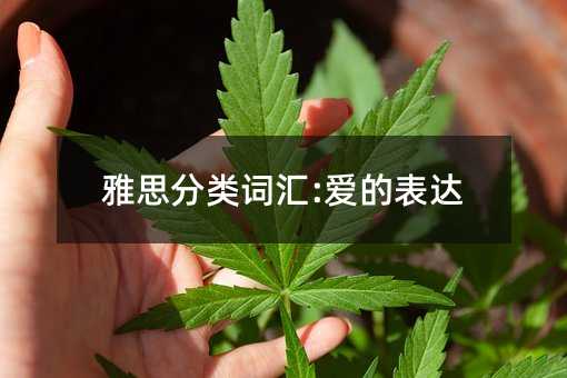 ��˼����ʻ�:���ı���