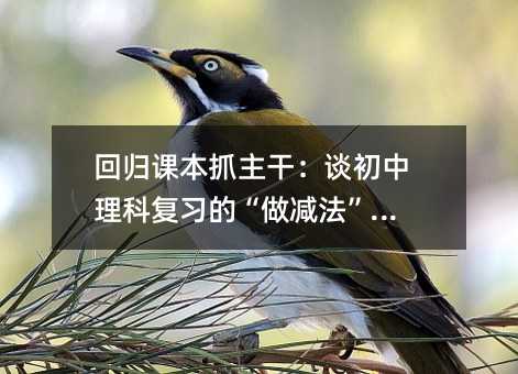 回归课本抓主干:谈初中理科复习的“做减法”智慧