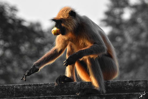 语文考试总结范文篇