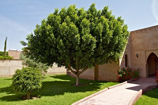 ����У�����Ž��������� ����̸֮�ſ������ҳ�