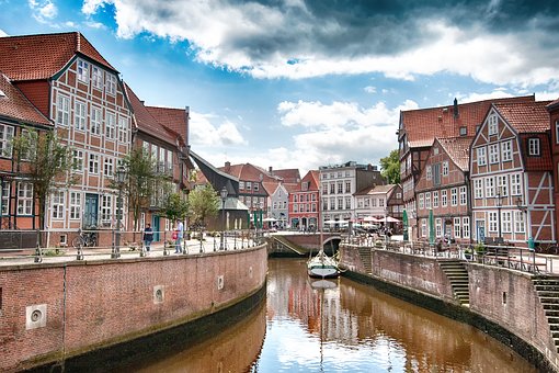 生物课外小组活动总结(14)