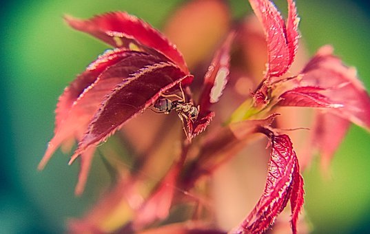 长沙文理科状元:初一就要有高三的紧迫感