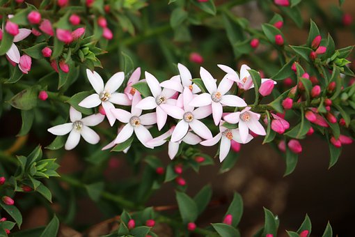 高中语文:如何写出一篇让老师落泪的感恩作文?