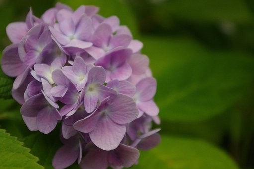 ������ѧ�뻡�߻���ȫ���ԣ���ԭ����ʵ��