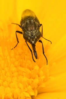 ��һ�к��Ĺ��������ǳɳ�����������ź�