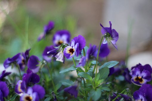 �ڹ�ʫ����������ź��ӵ����