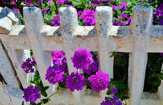 ���л�ѧ˵�θ�(1)