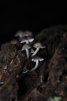 ���мҳ����ܽ�ƪ