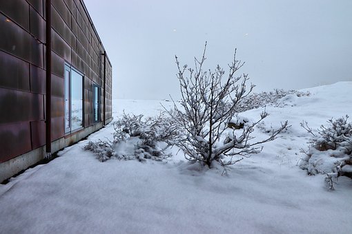 �й�ɽ�������ֽ��ߣ���ѧ������