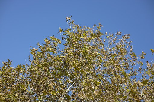 �߶������Ĺ�����ԭ�ļ�����