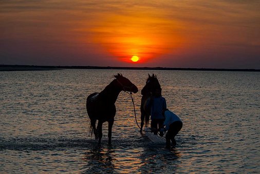 ���ѧ��Ӣ��