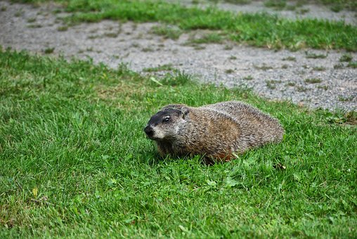 �����״�֪ʶ�㣺��ѧ��Ħ����