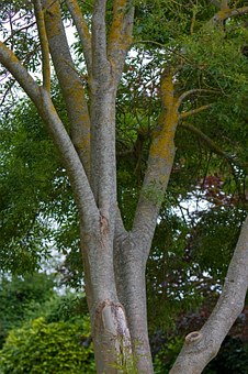 ���꼶�к�����١�Ұ�ġ��������ʡ���ȭ�������֡��ݾ��������������Ĺؼ�