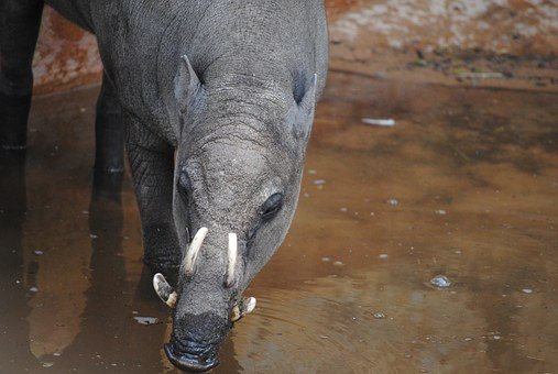 高三历史教学工作总结(13)