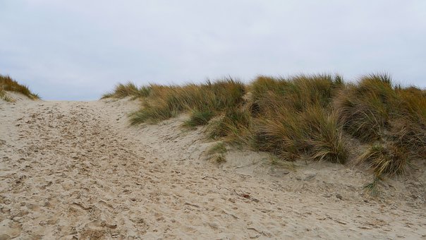 �����ĵ�ѧϰ����(1)