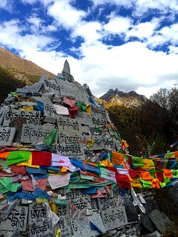 小学二年级语文课后反思篇