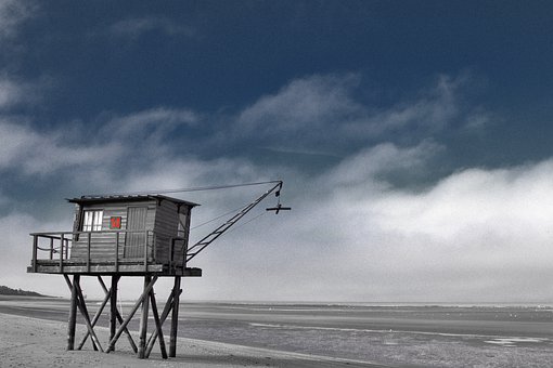 Ӣ������������壺����ֻ�������ˣ������ѧ�Ե���������