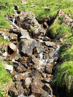 禁止学生看湖南卫视是应试教育的悲哀