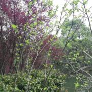 成考数学家教辅导